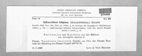 Podosphaera fuliginea image